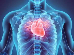El corazón humano