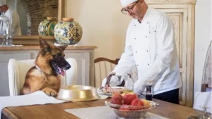 El perro rico
