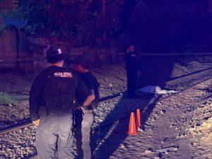 Muere arrollada por el tren (2)